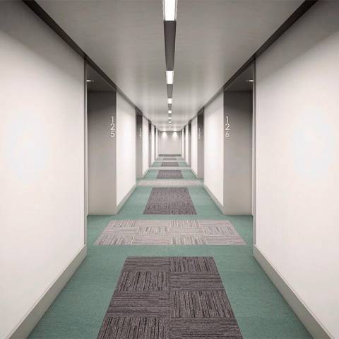 Carpetes em Placas